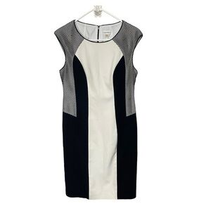 Calvin Klein Color Block Black White Mesh Cap Sleeve Sheath Dress, 8